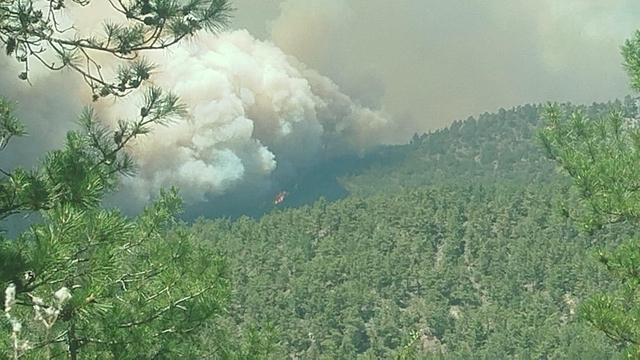 Sakarya'da ormanlık alanda çıkan yangın Bilecik tarafına sıçradı