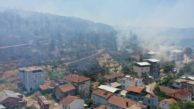 Bursa'da makilikte çıkıp ormana sıçrayan yangın kontrol altına alındı (6)