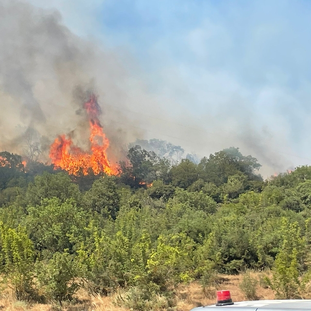 Bursa Yenişehir'de orman yangını
