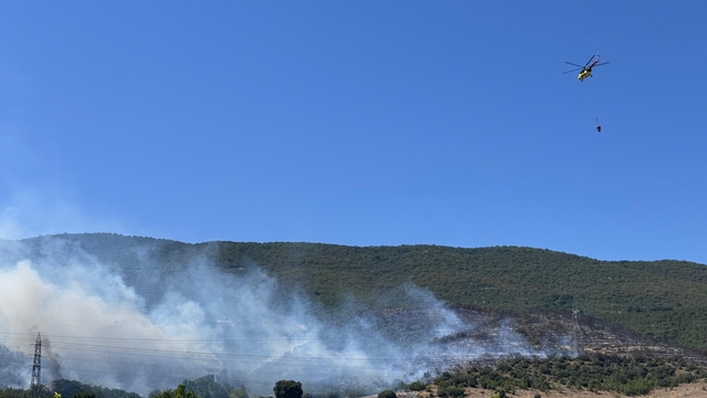Bursa'nın Yenişehir ilçesinde çıkan orman yangınına müdahale ediliyor
