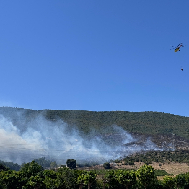 Bursa'nın Yenişehir ilçesinde çıkan orman yangınına müdahale ediliyor