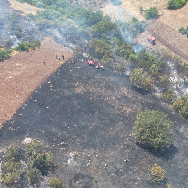 İnegöl'deki orman yangını kontrol altına alındı (2)