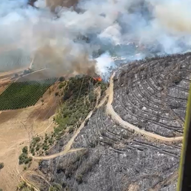 Bursa Yenişehir'de orman yangını (2)