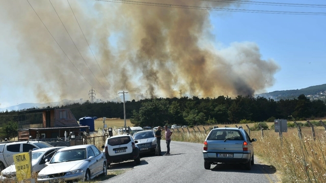 İzmir Bornova'da orman yangını (2)