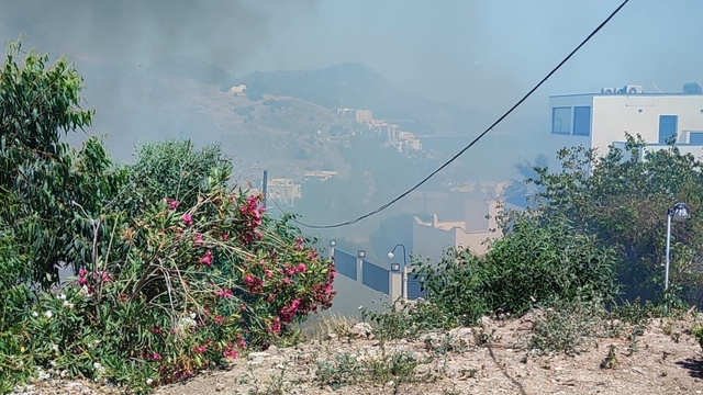 Bodrum'da makilik ve otluk alanda çıkan yangın söndürüldü