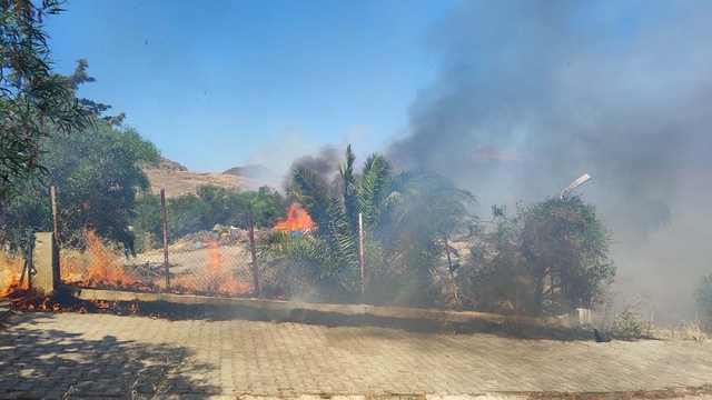 Bodrum'da ot yangınında alevler ağaçlara sıçradı