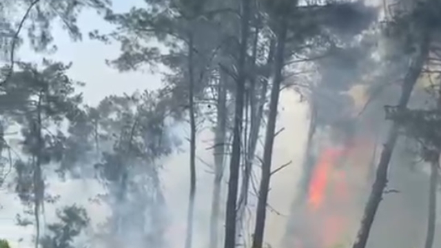 Hatay'da çıkan orman yangını kontrol altına alındı