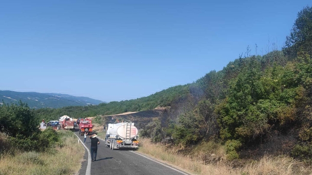 Tekirdağ'da orman yangını (2)