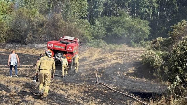 Tekirdağ'da makilik alana sıçrayan yangın söndürüldü