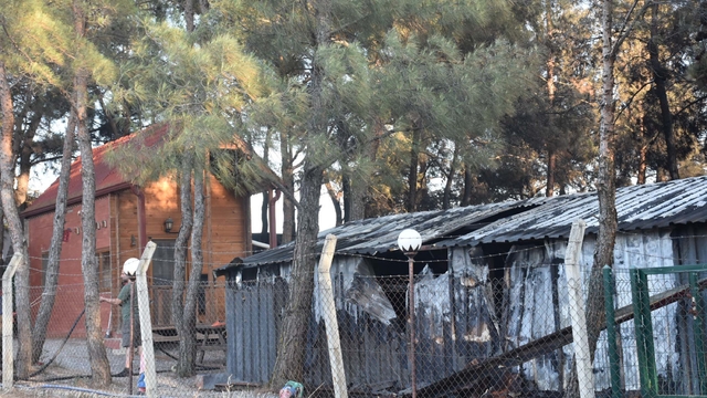 İzmir Bornova'da orman yangını (4)