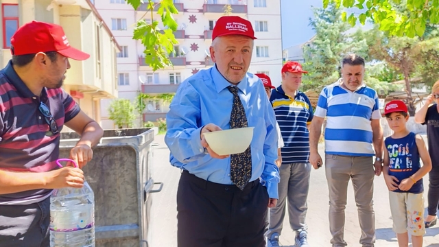 Nallıhan'da sahipsiz hayvanlar için mama ve su bırakıldı