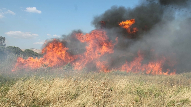 'Sıcaklık rekorlarının kırıldığı günler yangın riski açısından kritik'