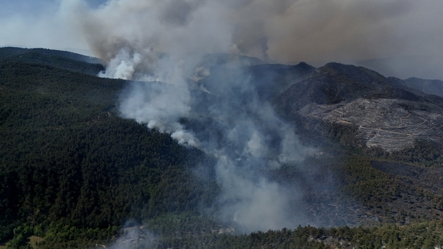 Sakarya'da çıkan orman yangınına müdahale sürüyor