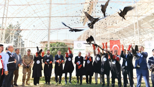 Şanlıurfa'da koruma altındaki 45 kelaynak göç etmeleri için doğaya bırakıldı