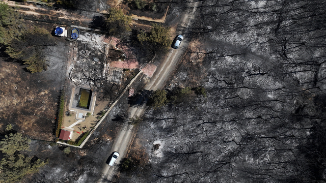 İzmir Bornova'da yanan ormanlık alan dronla havadan görüntülendi