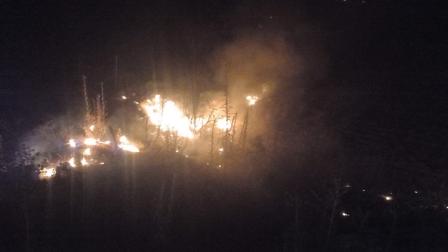 Bozyazı'da çıkan örtü yangını söndürüldü
