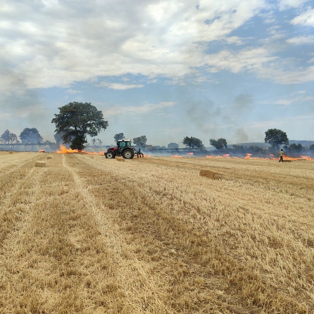 Çanakkale'de arazide çıkan yangın söndürüldü