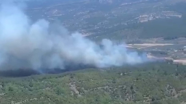 Manisa'da orman yangını