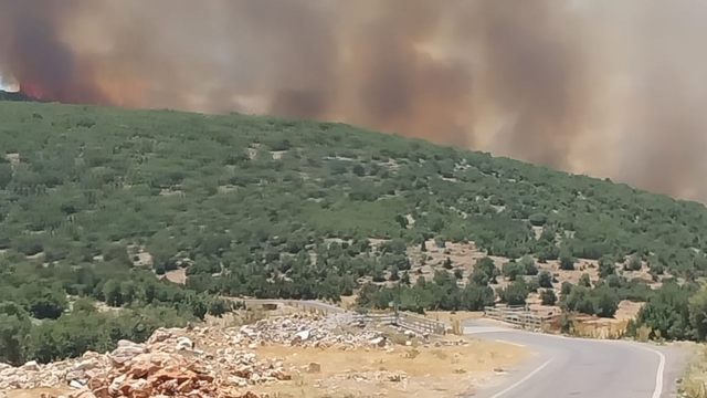 Gaziantep'te çıkan orman yangına müdahale ediliyor