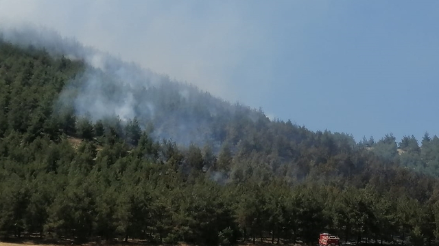 Kahramanmaraş'ta çıkan orman yangınına müdahale ediliyor