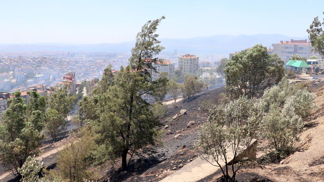 İzmir'de iki ilçede otluk alanda çıkan yangın kontrol altına alındı