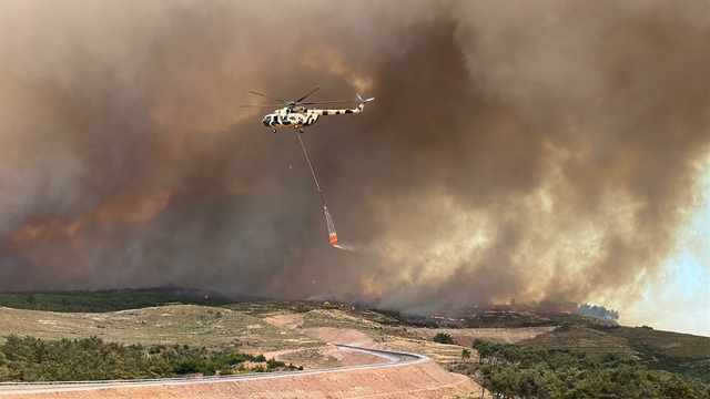 Manisa'da orman yangını (2)