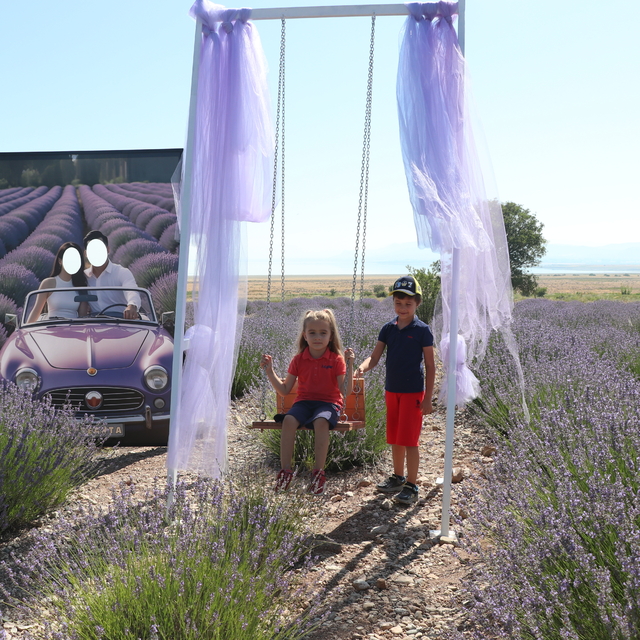 Burdur'da Lavanta Hasat ve Sanat Günleri'nde "mor bahçelerde" hasat başladı