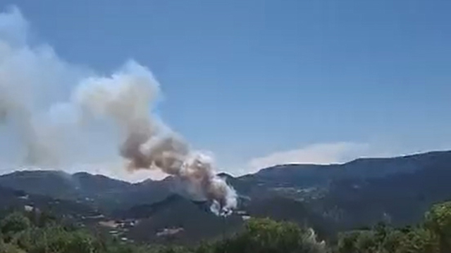 Bolu'da orman yangını