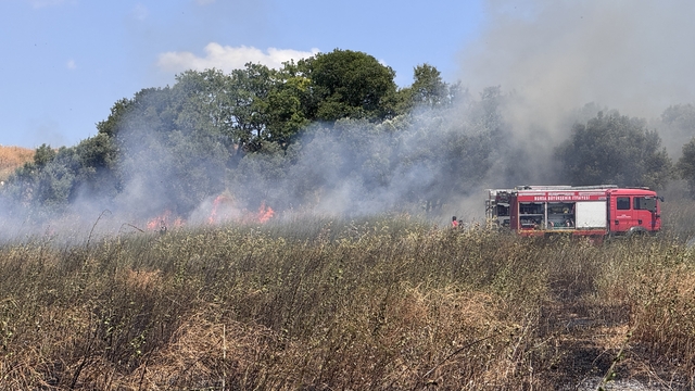 Bursa'da tarladan zeytinliğe sıçrayan yangın söndürüldü