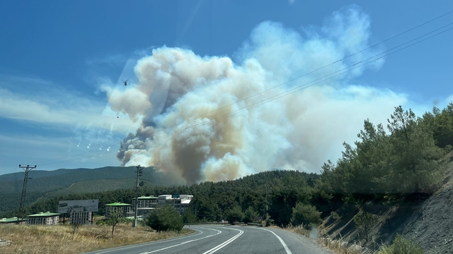 Sakarya'da çıkıp Bilecik'e sıçrayan orman yangını 2'nci gününde (4)