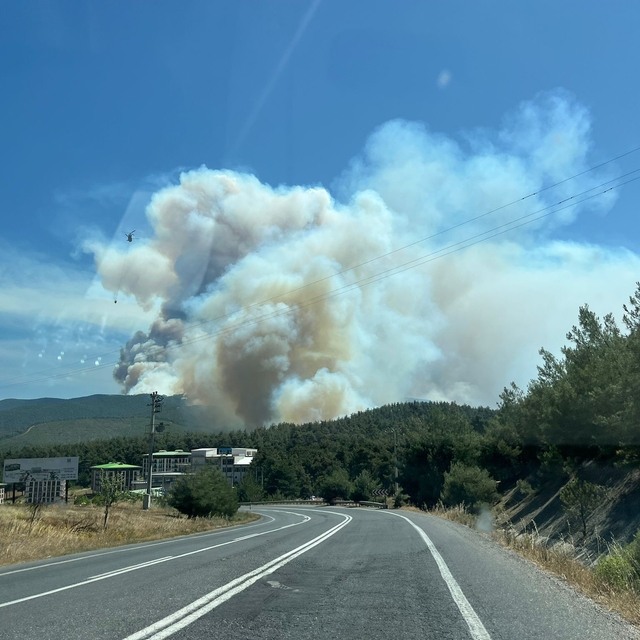 Sakarya'da çıkıp Bilecik'e sıçrayan orman yangını 2'nci gününde (4)
