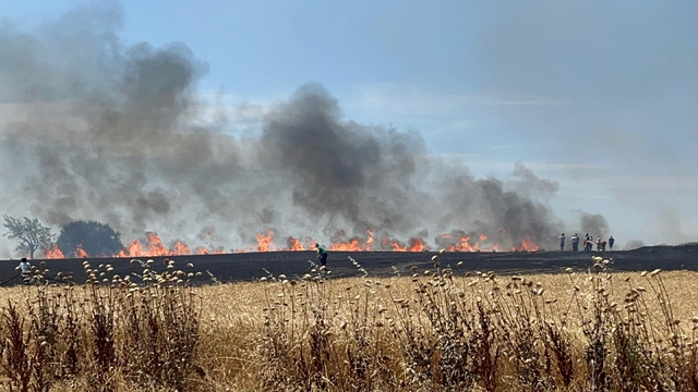 Bursa'da anız yangınında alevler zeytinliğe sıçradı