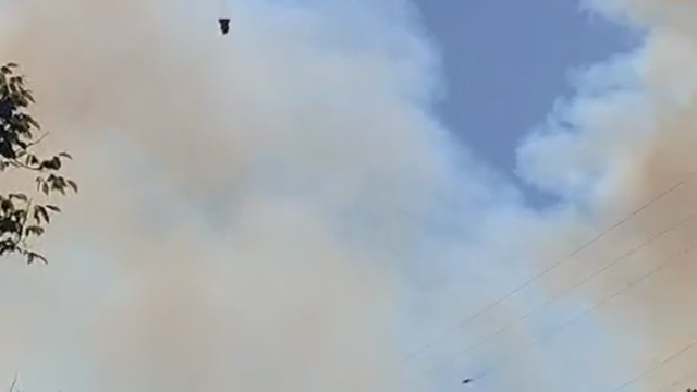 Bolu'da orman yangını (2)