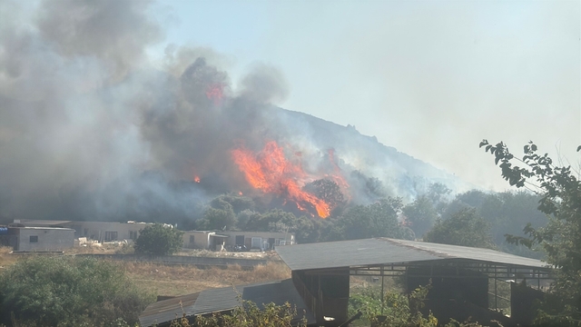 Bodrum'da maki yangını