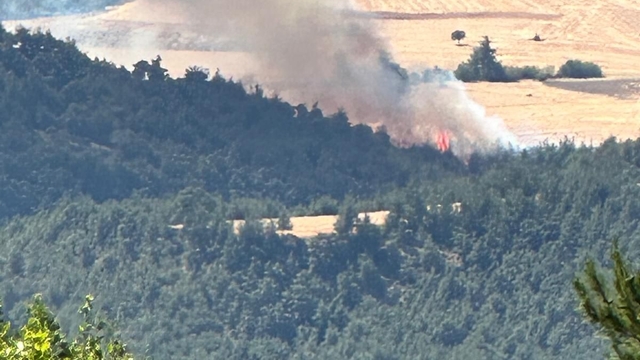 Bilecik'in Osmaneli ilçesindeki orman yangınına müdahale ediliyor