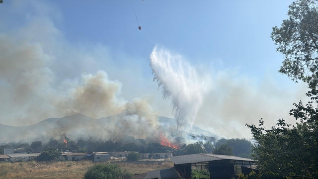 Bodrum'da makilik alanda çıkan ve rüzgarla yayılan yangına müdahale ediliyor