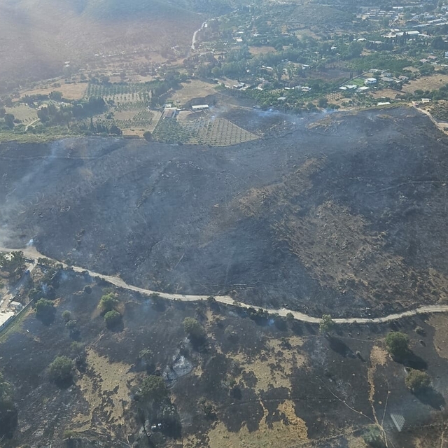 Bodrum'da maki yangını (2)