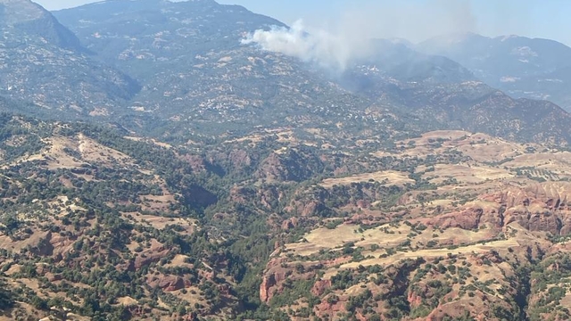 Aydın'ın Efeler ve Bozdoğan ilçelerindeki yangınlara müdahale ediliyor