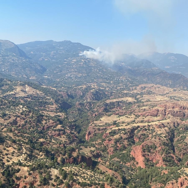 Aydın'ın Efeler ve Bozdoğan ilçelerindeki yangınlara müdahale ediliyor