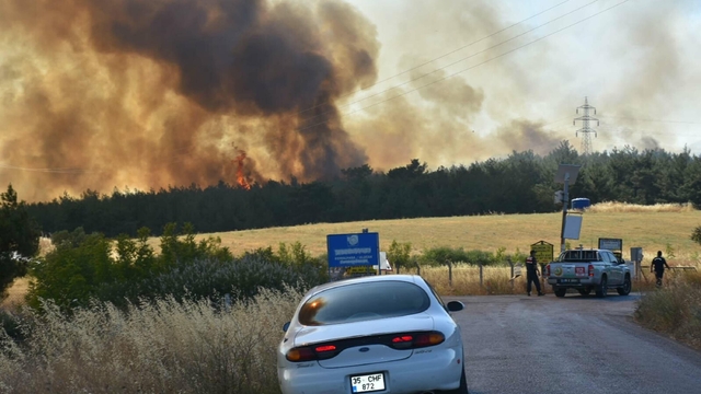 İzmir Bornova'da orman yangını (6)