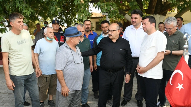 Balıkesir'de orman yangını (2)