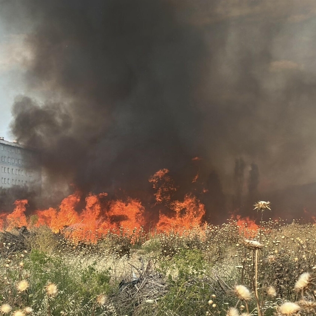 Çanakkale'deki otluk yangını 1,5 saatte söndürüldü