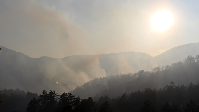 Bolu'da orman yangını (4)