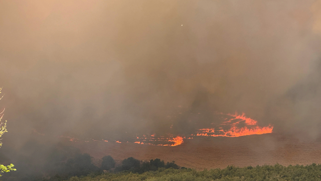 Gaziantep'te orman yangını (2)