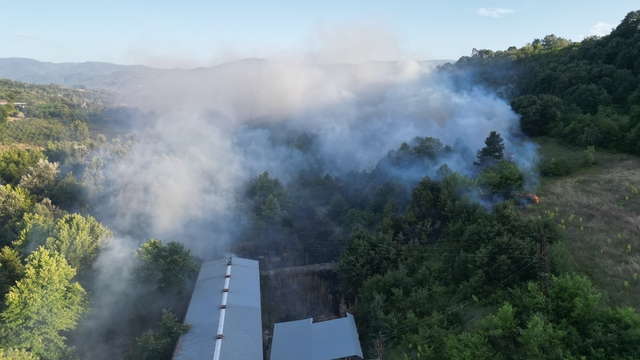 Bursa'da merada çıkan yangın ormanlık alana sıçramadan söndürüldü