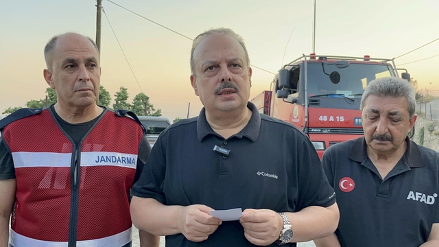 Aydın'da orman yangını (2)