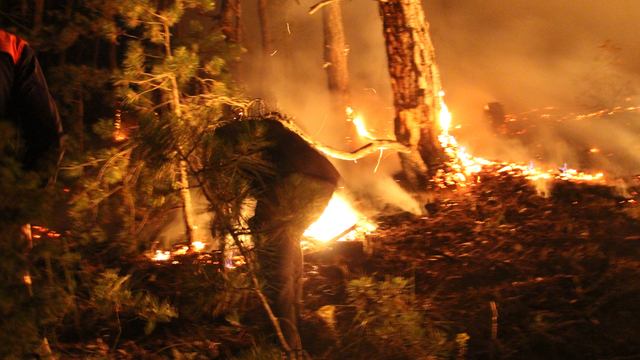 Bolu'da orman yangını (5)