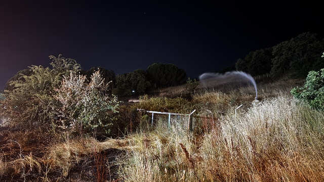 Bursa'da otluk alanda çıkan yangın nedeniyle düğün salonu boşaltıldı