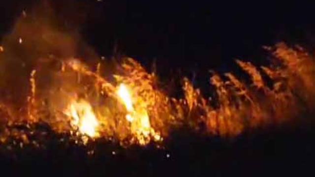 Havai fişek ormanı yaktı; düğündekiler tahliye edildi