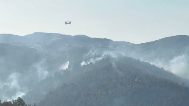 Manisa'daki orman yangını 2'nci gününde